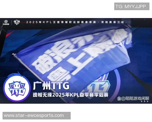 探寻王者荣耀TES战队的游戏意识与团队协作之道