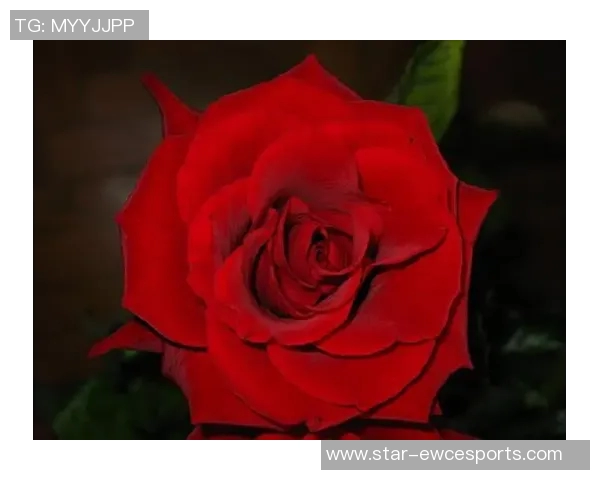 吴秀英的DOTA2生涯回顾与成长之路对话分享 吴秀英的DOTA2生涯回顾与成长之路对话分享